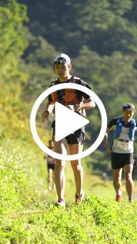 BIB:  <button type="button" onclick="openModal(26575182)" class="btn btn-primary btn-sm float-right" data-toggle="modal" data-target=".modal-high-quality">
                <i class="fa fa-download"></i> Download
                </button>